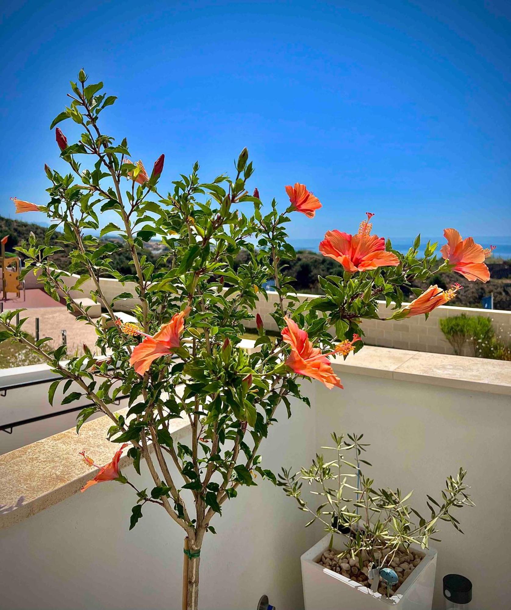 Ferienwohnung Rincon Idilia Rincón de la Victoria Exterior foto
