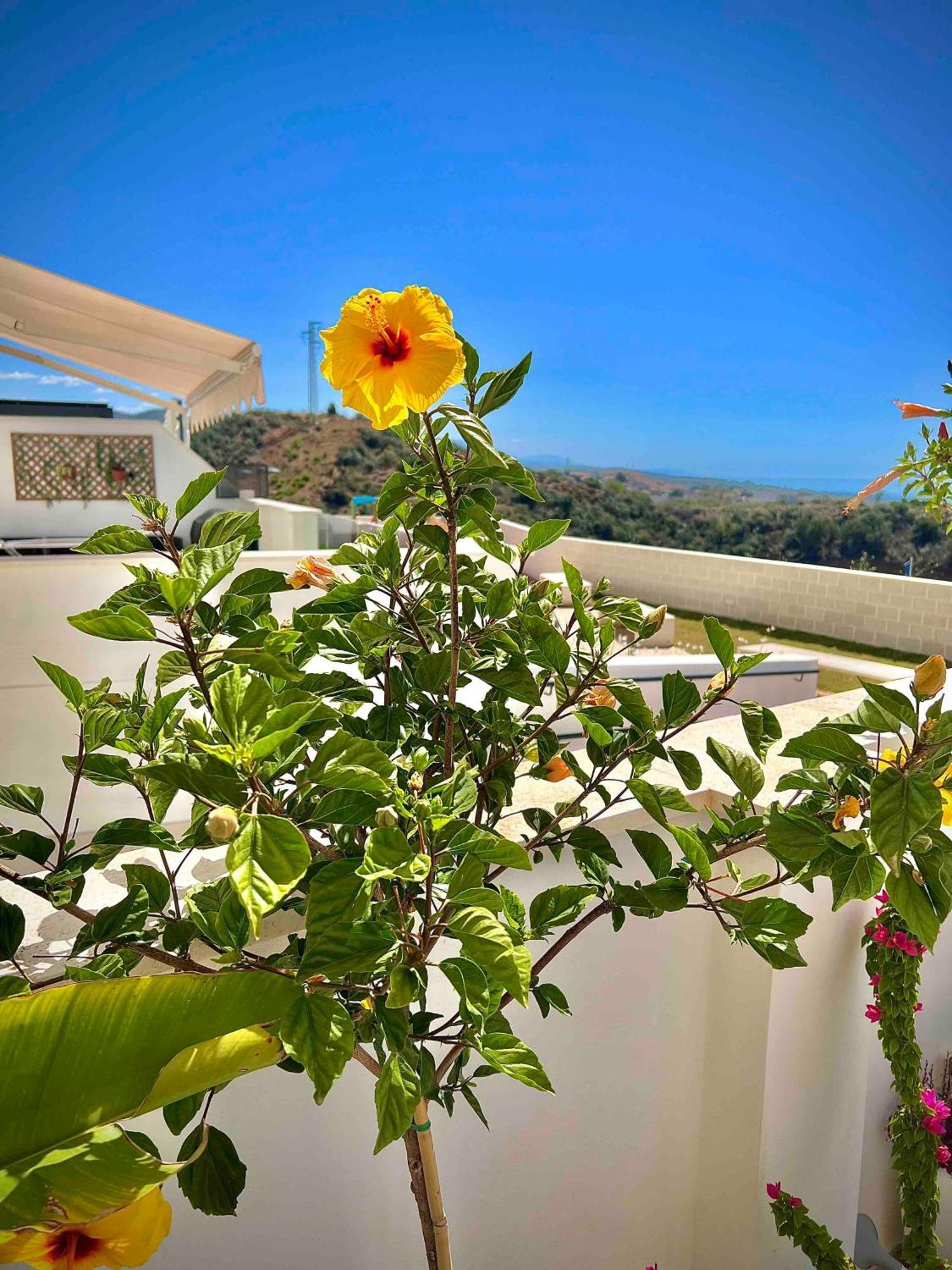 Ferienwohnung Rincon Idilia Rincón de la Victoria Exterior foto